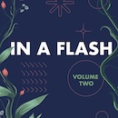 Book Cover for In A Flash Volume II - a dark blue background with orange flowers and shapes