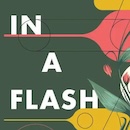 Book Cover for In A Flash Volume Three - title in white on a dark green background with red, yellow and green flowers